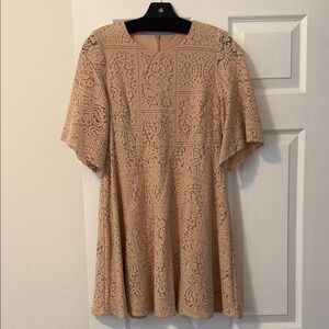 Zara Lace Short Sleeve Dress
